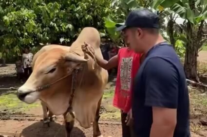 Sedang Jalan-Jalan di Lampung, Irfan Hakim Tawar Sapi yang Sedang Menarik Gerobak Pasir